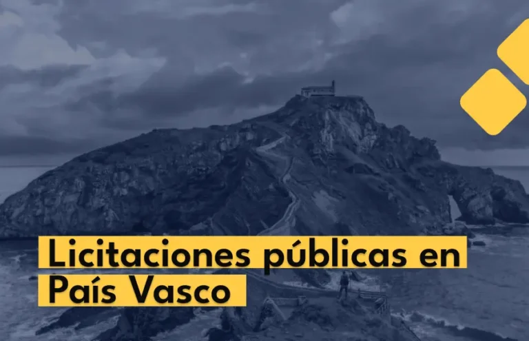 Últimas Licitaciones en  País Vasco