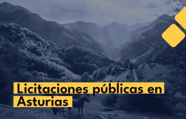 Últimas Licitaciones públicas en Asturias