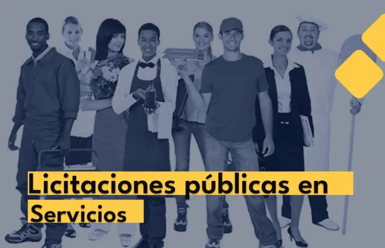 Últimas Licitaciones Públicas en el Sector de Servicios